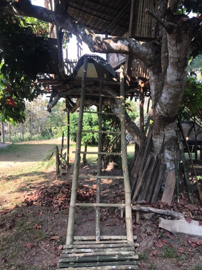 Hotel Amando_Tent Phayao Zewnętrze zdjęcie