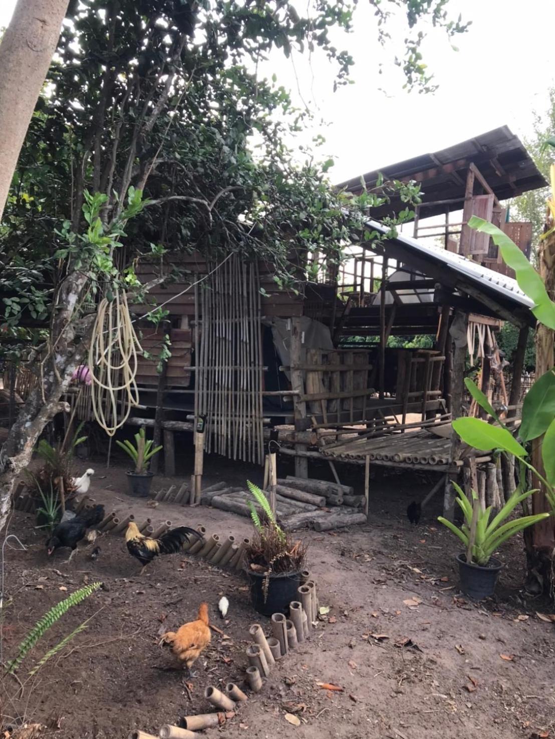 Hotel Amando_Tent Phayao Zewnętrze zdjęcie