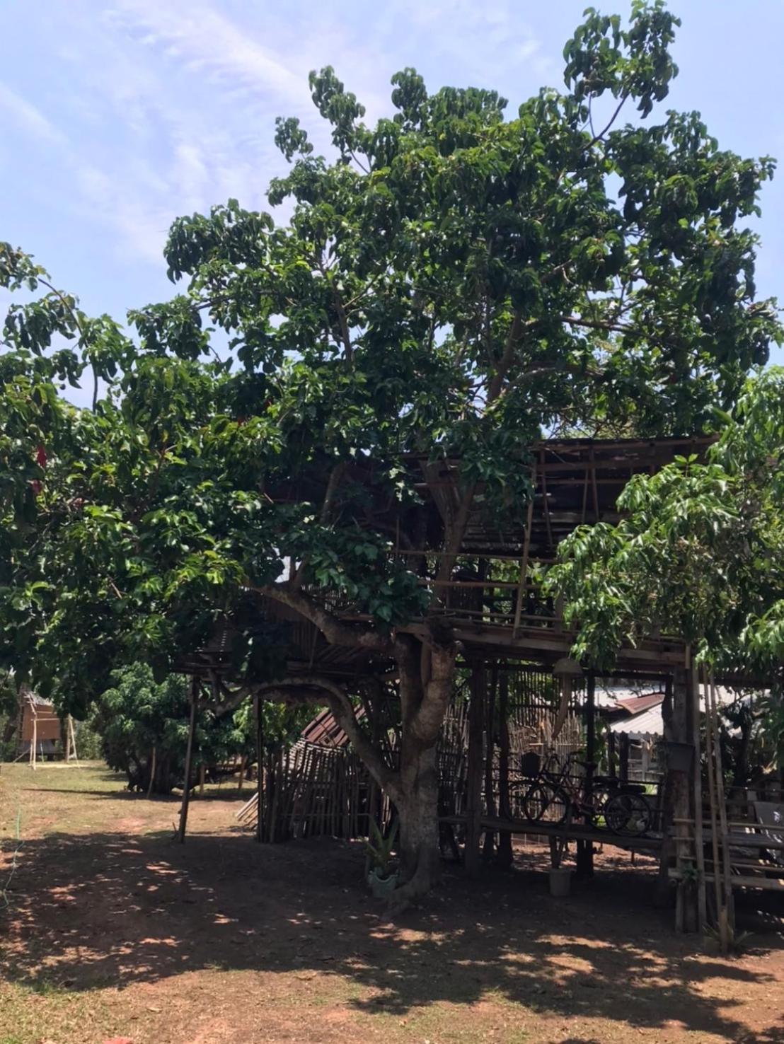 Hotel Amando_Tent Phayao Zewnętrze zdjęcie